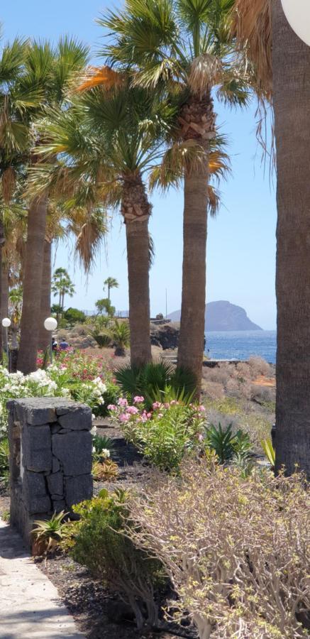 Cosy Well Located Apartment Tenerife Sur Golf San Miguel de Abona Exterior photo